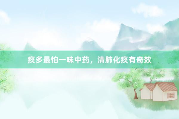 痰多最怕一味中药，清肺化痰有奇效