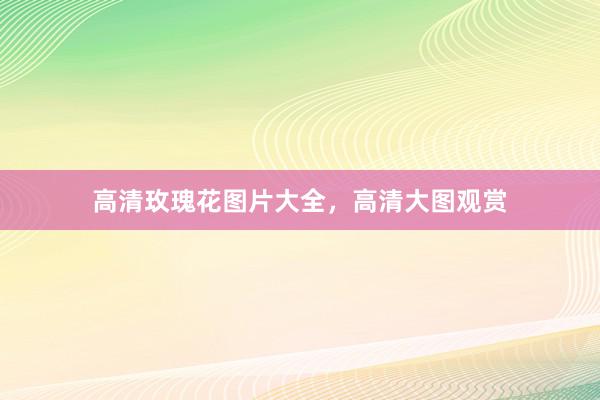 高清玫瑰花图片大全，高清大图观赏