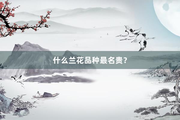 什么兰花品种最名贵？