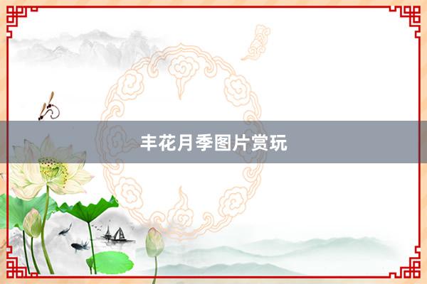 丰花月季图片赏玩