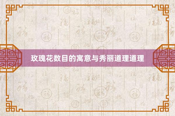 玫瑰花数目的寓意与秀丽道理道理