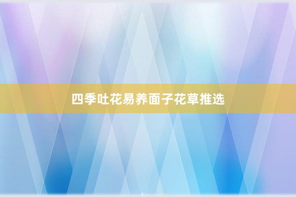 四季吐花易养面子花草推选