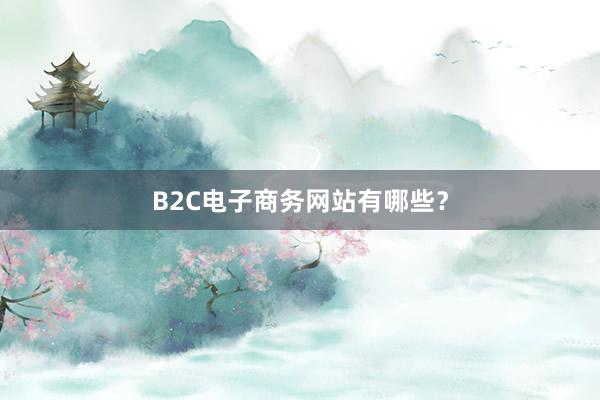 B2C电子商务网站有哪些？
