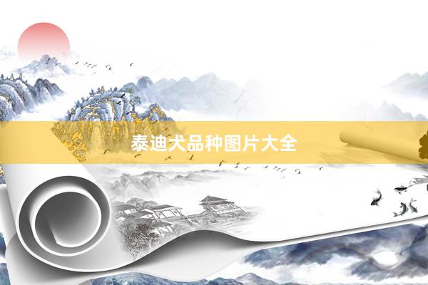 泰迪犬品种图片大全