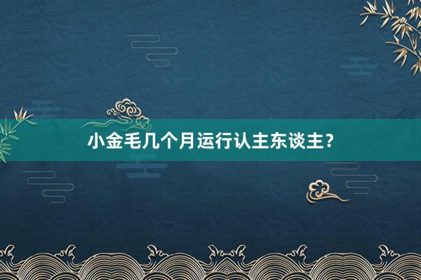 小金毛几个月运行认主东谈主？