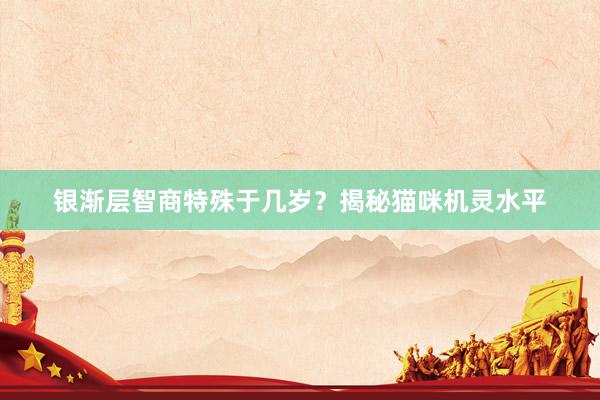 银渐层智商特殊于几岁?揭秘猫咪机灵水平